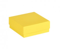 Cryo cső tároló doboz fedéllel vízálló sárga 136x136mm mag 50mm