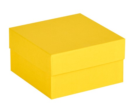 Cryo cső tároló doboz fedéllel vízálló sárga 136x136mm mag 75mm