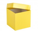 Cryo cső tároló doboz fedéllel vízálló sárga 136x136mm mag100mm