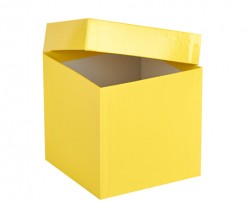 Cryo cső tároló doboz fedéllel vízálló sárga 136x136mm mag 130mm