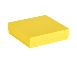 Cryo cső tároló karton doboz fedéllel sárga 136x136mm mag 32mm