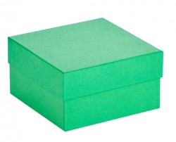 Cryo cső tároló karton doboz fedéllel zöld 136x136mm mag 75mm