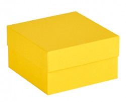 Cryo cső tároló karton doboz fedéllel sárga 136x136mm mag 75mm
