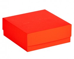 Cryo cső tároló karton doboz fedéllel piros 136x136mm mag 100mm