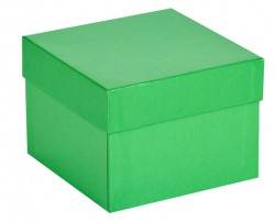 Cryo cső tároló karton doboz fedéllel zöld 136x136mm mag 100mm
