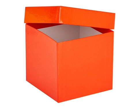 Cryo cső tároló karton doboz fedéllel piros 136x136mm mag 130mm