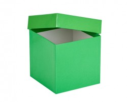 Cryo cső tároló karton doboz fedéllel zöld 136x136mm mag 130mm