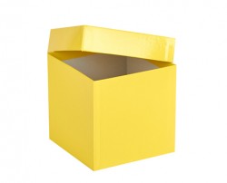 Cryo cső tároló karton doboz fedéllel sárga 136x136mm mag 130mm