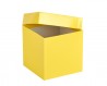 Cryo cső tároló karton doboz fedéllel sárga 136x136mm mag 130mm